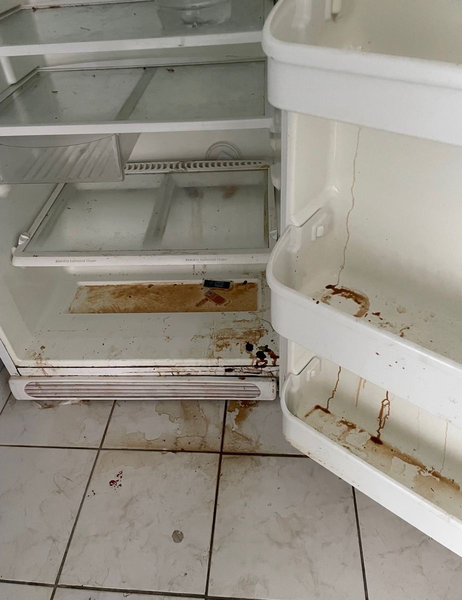 Refrigerator interior before cleaning