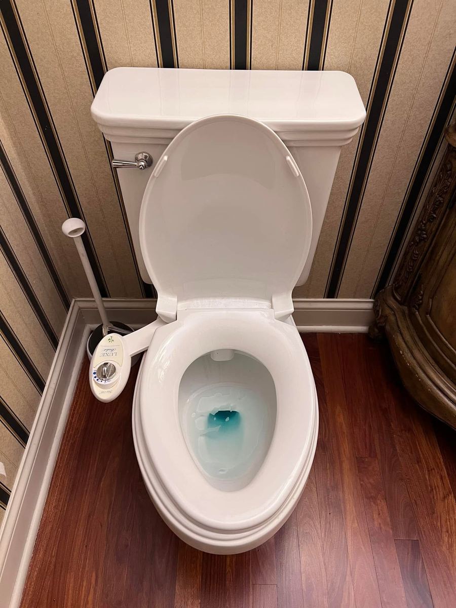 Toilet after cleaning