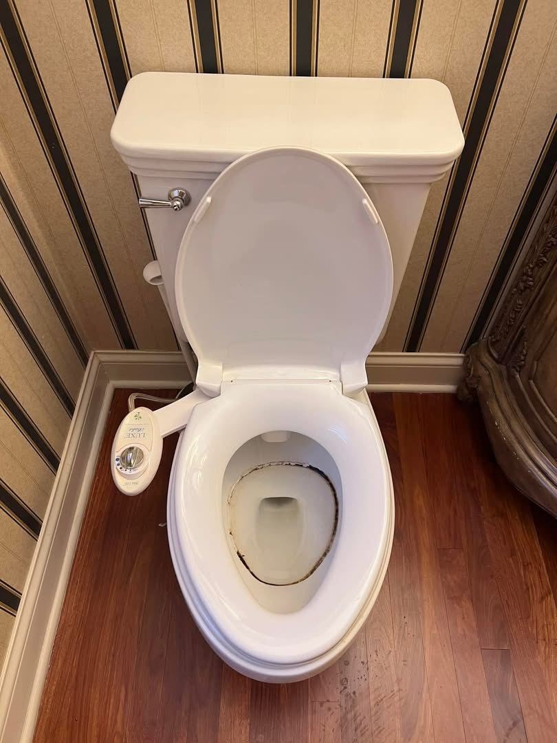 Toilet before cleaning